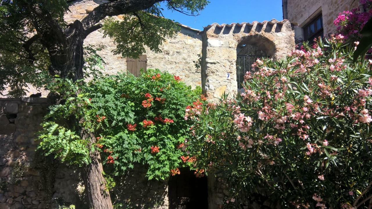 Les Studios De St Guilhem Saint-Guilhem-le-Desert Exteriér fotografie