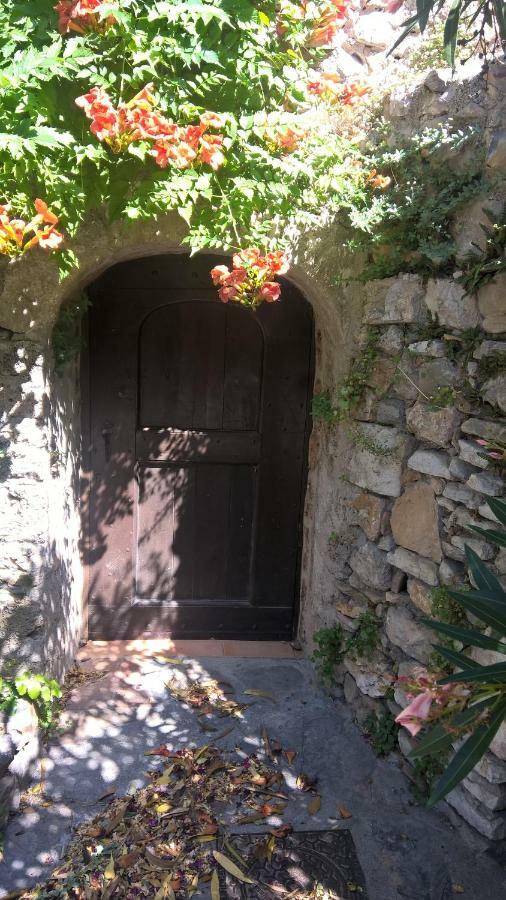 Les Studios De St Guilhem Saint-Guilhem-le-Desert Exteriér fotografie